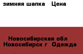 зимняя шапка › Цена ­ 4 000 - Новосибирская обл., Новосибирск г. Одежда, обувь и аксессуары » Мужская одежда и обувь   . Новосибирская обл.,Новосибирск г.